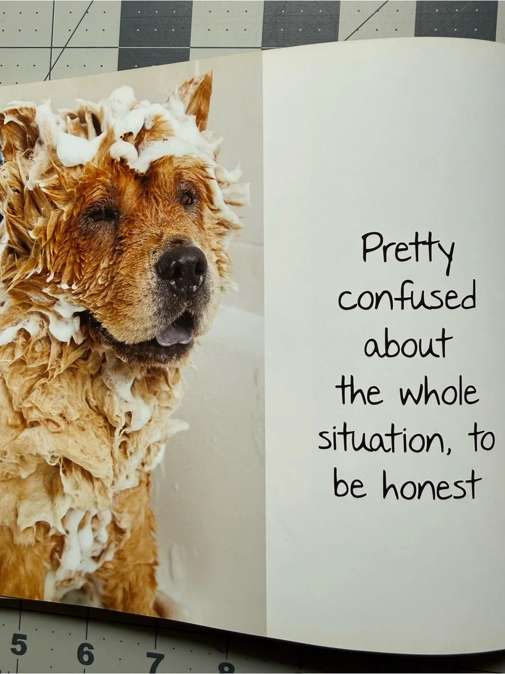 Dog Bathing Bundle with Shampoo Conditioner and Hardcover Book